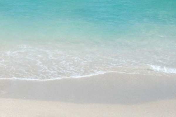 annual rentals walk to beach fort lauderdale, florida